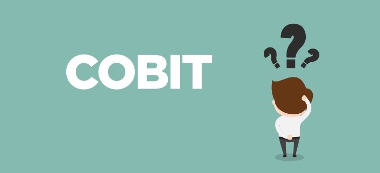 Kübit nedir?