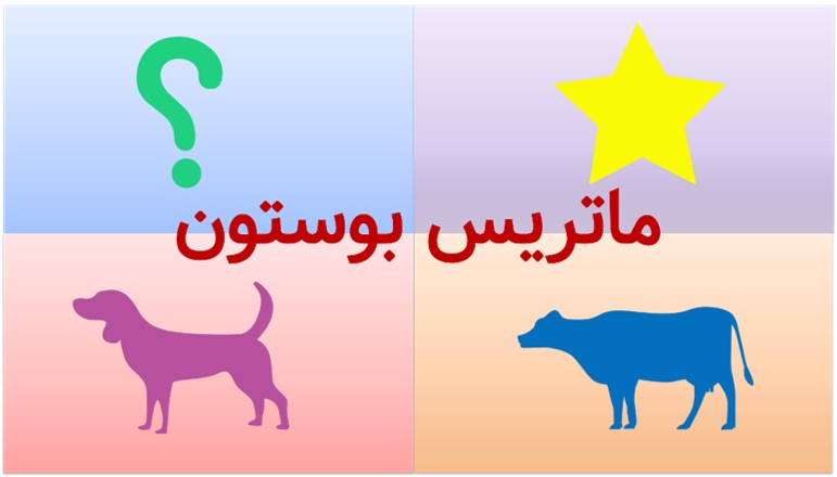 ماتریس بوستون چیست
