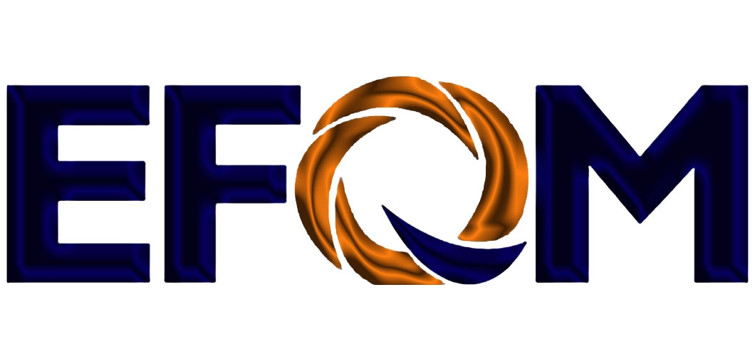 مدل تعالی سازمانی چیست